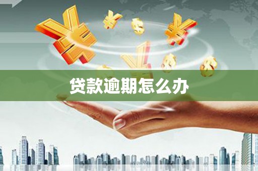 甘谷贷款逾期怎么办
