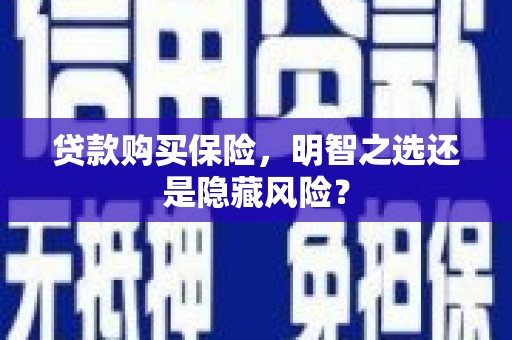 甘谷贷款购买保险，明智之选还是隐藏风险？