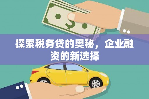 甘谷探索税务贷的奥秘，企业融资的新选择