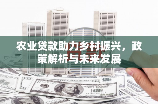 甘谷农业贷款助力乡村振兴，政策解析与未来发展