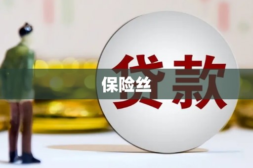 甘谷保险丝