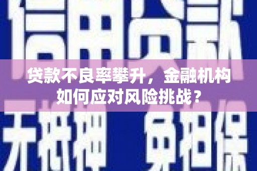 甘谷贷款不良率攀升，金融机构如何应对风险挑战？