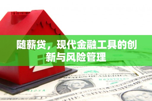 甘谷随薪贷，现代金融工具的创新与风险管理