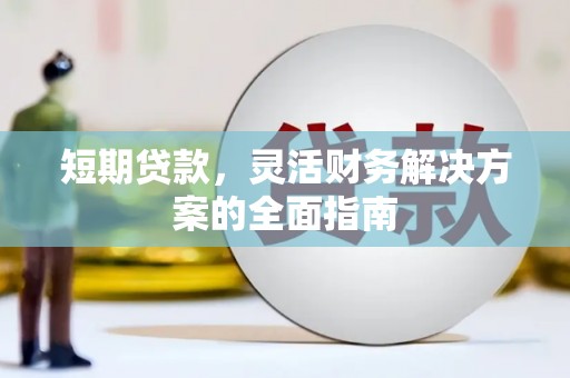 甘谷短期贷款，灵活财务解决方案的全面指南