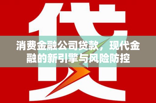 甘谷消费金融公司贷款，现代金融的新引擎与风险防控