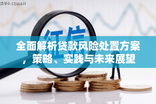 甘谷全面解析贷款风险处置方案，策略、实践与未来展望