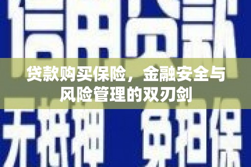 甘谷贷款购买保险，金融安全与风险管理的双刃剑