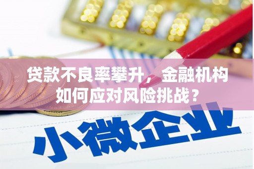 甘谷贷款不良率攀升，金融机构如何应对风险挑战？