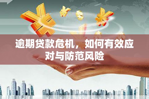 甘谷逾期贷款危机，如何有效应对与防范风险