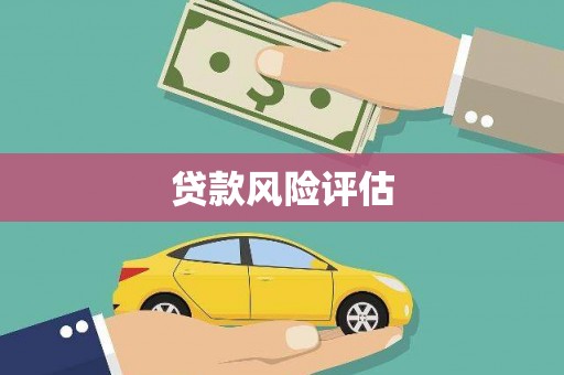 甘谷贷款风险评估