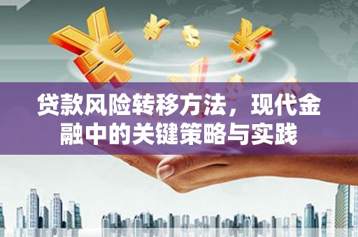 甘谷贷款风险转移方法，现代金融中的关键策略与实践