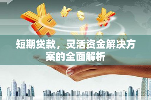 甘谷短期贷款，灵活资金解决方案的全面解析