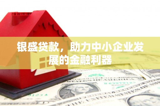 甘谷银盛贷款，助力中小企业发展的金融利器