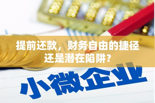甘谷提前还款，财务自由的捷径还是潜在陷阱？