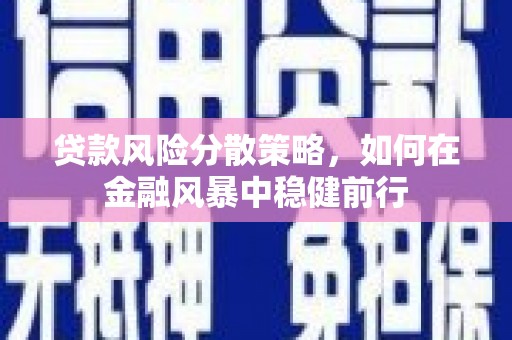 甘谷贷款风险分散策略，如何在金融风暴中稳健前行