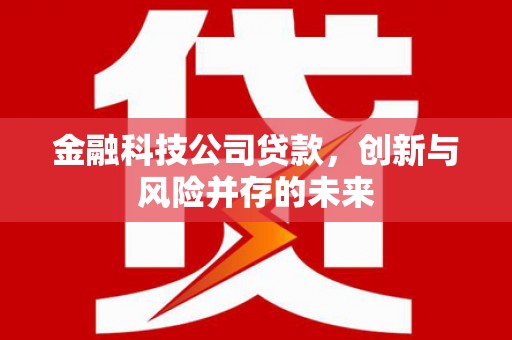甘谷金融科技公司贷款，创新与风险并存的未来