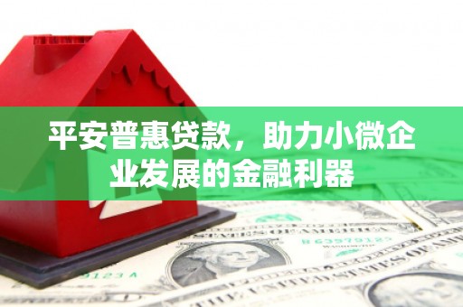 甘谷平安普惠贷款，助力小微企业发展的金融利器