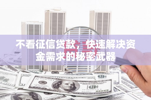 甘谷不看征信贷款，快速解决资金需求的秘密武器