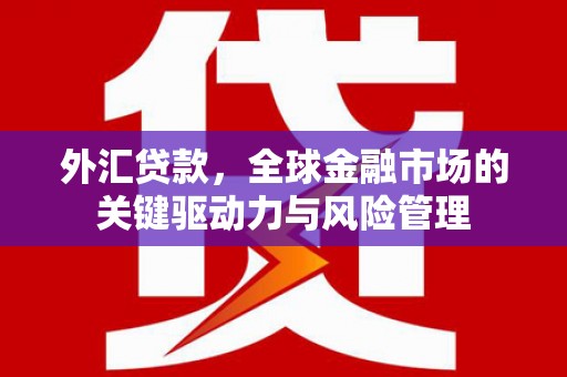 甘谷外汇贷款，全球金融市场的关键驱动力与风险管理