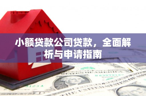 甘谷小额贷款公司贷款，全面解析与申请指南