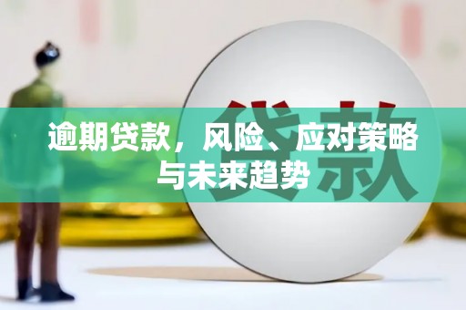 甘谷逾期贷款，风险、应对策略与未来趋势