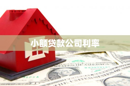 甘谷小额贷款公司利率