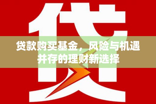 甘谷贷款购买基金，风险与机遇并存的理财新选择