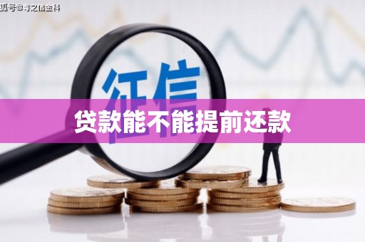 甘谷贷款能不能提前还款