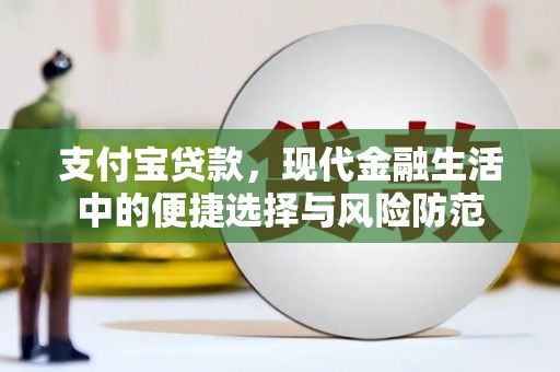 甘谷支付宝贷款，现代金融生活中的便捷选择与风险防范