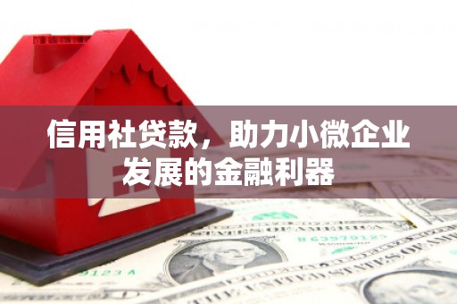 甘谷信用社贷款，助力小微企业发展的金融利器