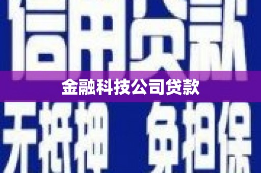 甘谷金融科技公司贷款