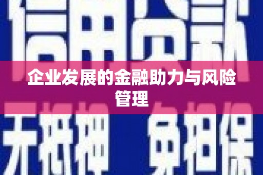 甘谷企业发展的金融助力与风险管理