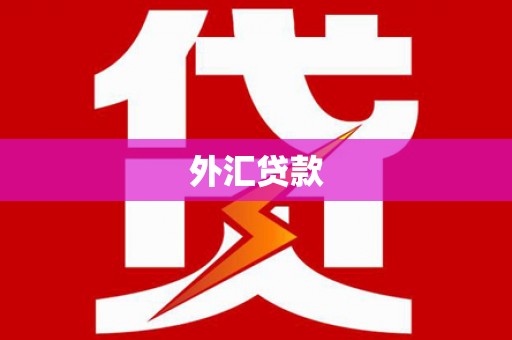 甘谷外汇贷款