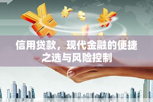 甘谷信用贷款，现代金融的便捷之选与风险控制