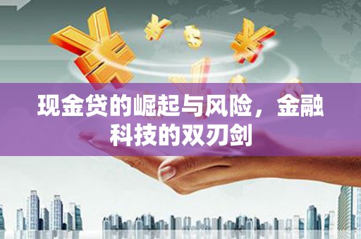 甘谷现金贷的崛起与风险，金融科技的双刃剑
