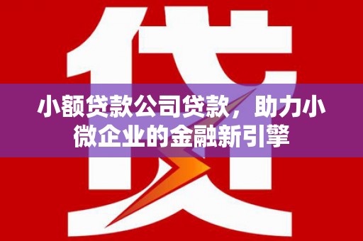 甘谷小额贷款公司贷款，助力小微企业的金融新引擎