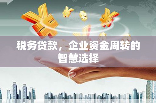 甘谷税务贷款，企业资金周转的智慧选择