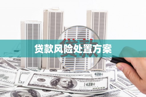 甘谷贷款风险处置方案