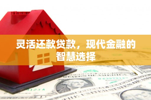 甘谷灵活还款贷款，现代金融的智慧选择
