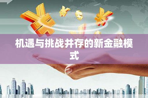 甘谷机遇与挑战并存的新金融模式