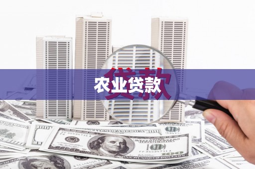 甘谷农业贷款