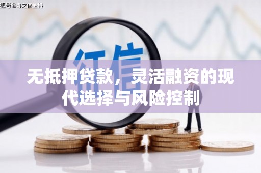 甘谷无抵押贷款，灵活融资的现代选择与风险控制