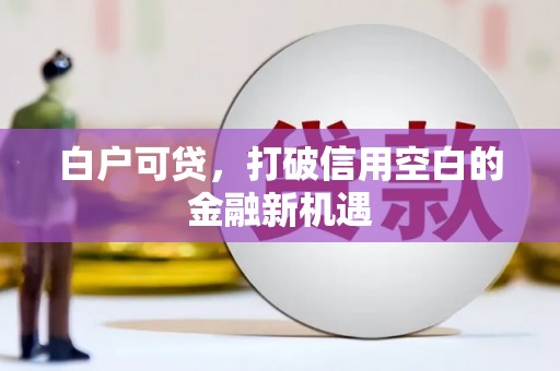 甘谷白户可贷，打破信用空白的金融新机遇