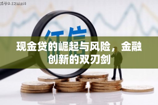甘谷现金贷的崛起与风险，金融创新的双刃剑