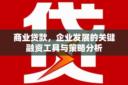 甘谷商业贷款，企业发展的关键融资工具与策略分析