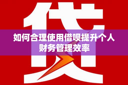 甘谷如何合理使用借呗提升个人财务管理效率