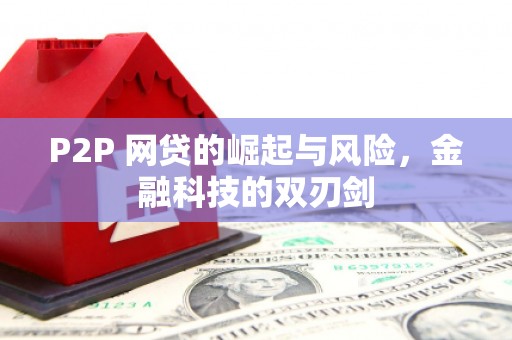 甘谷P2P 网贷的崛起与风险，金融科技的双刃剑