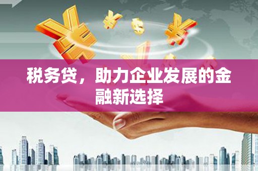 甘谷税务贷，助力企业发展的金融新选择