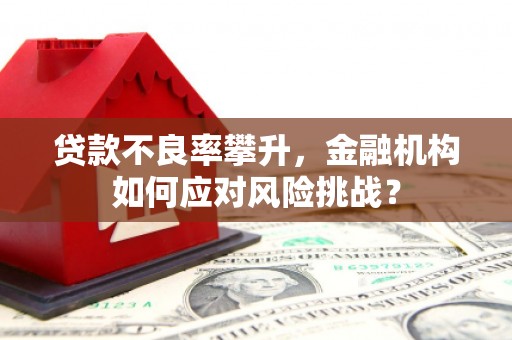 甘谷贷款不良率攀升，金融机构如何应对风险挑战？
