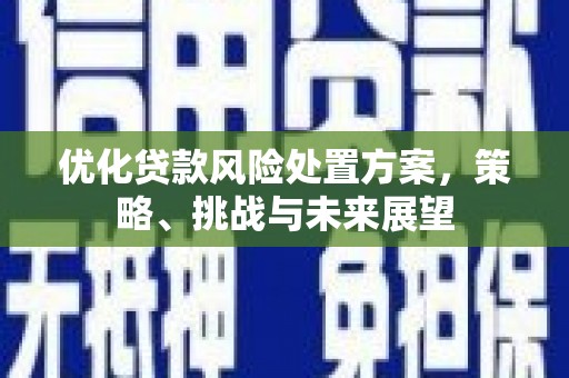 甘谷优化贷款风险处置方案，策略、挑战与未来展望